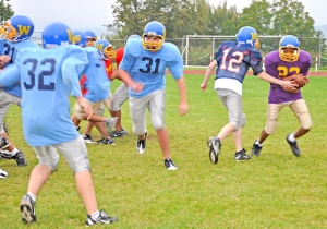 insuring a youth sports league